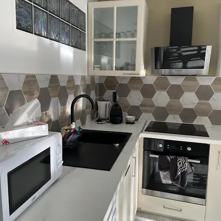 Immeuble Le Regency, 4 Pieces, 80 Metres De La Apartment